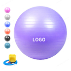 El Pompası veya ayak pompası ile Anti Burst Pvc 55cm 21.7 inç Egzersiz Yoga Topu