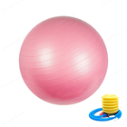 Egzersiz Topu (45cm-75cm), Hızlı Pompalı Yoga Topu Sandalyesi, Core Kuvvet Antrenmanı ve Fiziksel için Stabilite Fitness Topu
