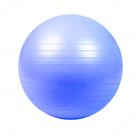 Balance Trainer 25cm 9.8 inç Yoga Topu Egzersiz Ekipmanları Patlama Önleyici