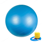 Hava Pompalı 55cm 65cm 75cm PVC Özel Egzersiz Spor Salonu Yoga Topu