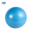 200kg Rulman Anti Patlama PVC Yoga Fitness Topu 45cm Pilates Gym Ball