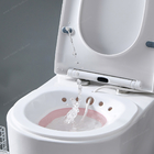 CE Testi Klozet temiz Vajina taşınabilir v buharlı koltuk banyosu kadın yoni buharlı koltuk